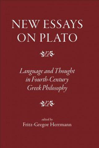 New Essays on Plato