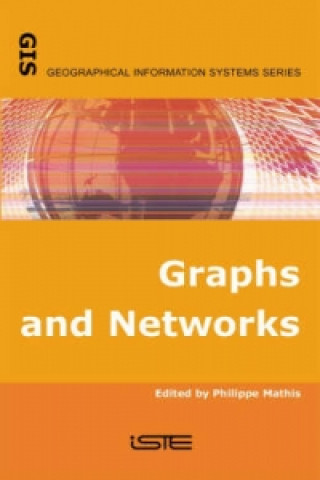 Graphs and Networks - Multilevel Modeling