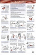 Stretching Charts (Lower Body, Upper Body, Neck, Back and Core)