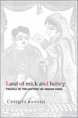Land of Milk and Honey - Travels in the History of  Indian Food
