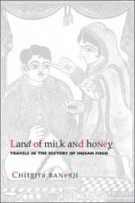 Land of Milk and Honey - Travels in the History of  Indian Food