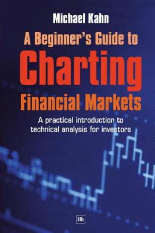 Beginner's Guide to Charting Financial Markets