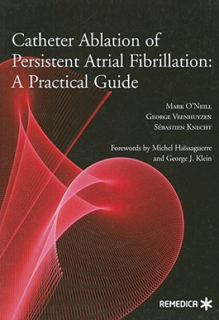 Catheter Ablation of Persistent Atrial Fibrillation: A Practical Guide