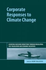 Corporate Responses to Climate Change
