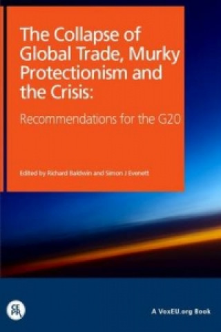 Collapse of Trade, Murky Protectionism and the Crisis: Recommendations for the G20