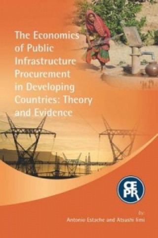 Economics of Public Infrastructure Procurement in Developing Countries: Theory and Evidence