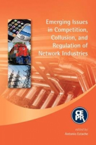 Emerging Issues in Competition, Collusion and Regulation of Network Industries