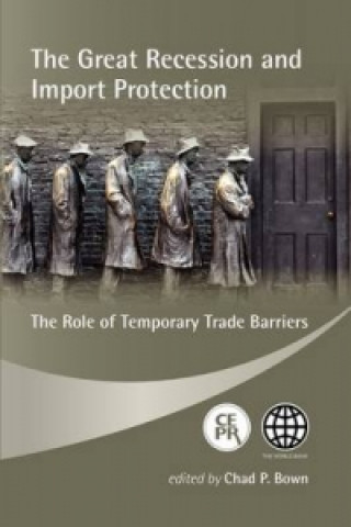 Great Recession and Import Protection