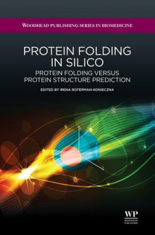 Protein Folding in Silico