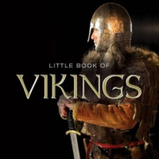 Little Book of Vikings
