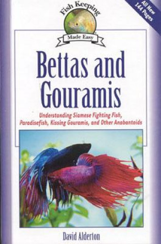 Bettas and Gouramis