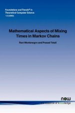 Mathematical Aspects of Mixing Times in Markov Chains