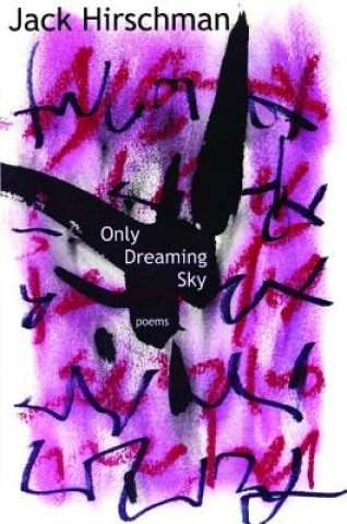 Only Dreaming Sky