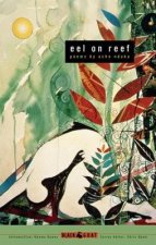 Eel On Reef