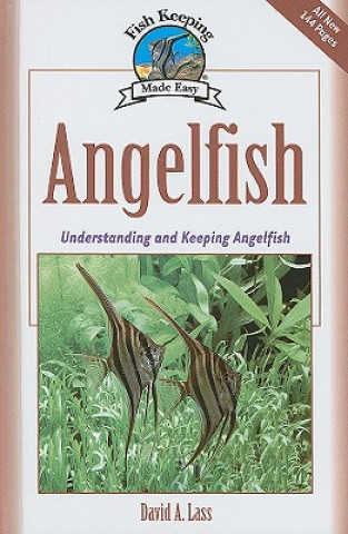 Angelfish