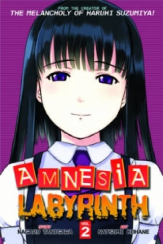 Amnesia Labyrinth