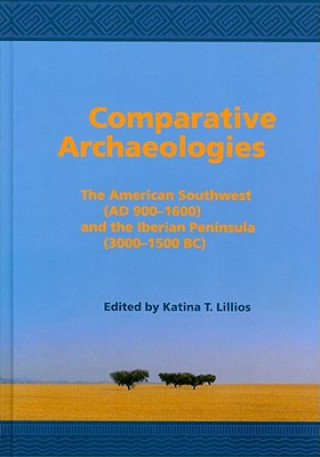 Comparative Archaeologies