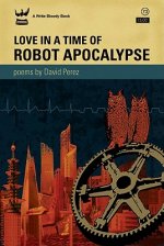 Love In A Time of Robot Apocalypse