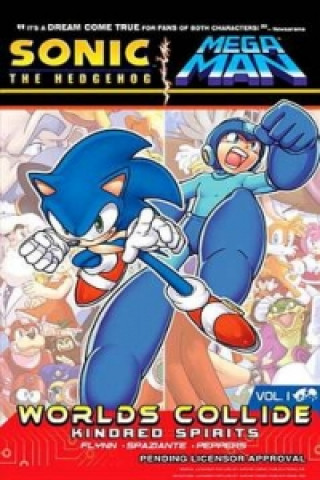 Sonic / Mega Man: Worlds Collide