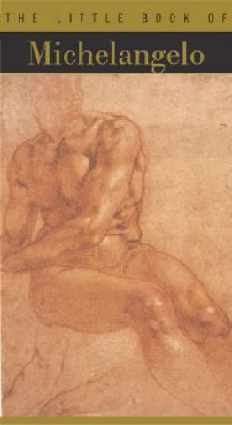 Little Book of Michelangelo