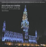 Grand Place of Brussels: Light Sculptures