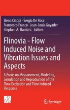 Flinovia - Flow Induced Noise and Vibration Issues and Aspects