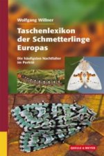 Taschenlexikon der Schmetterlinge Europas, Die häufigsten Nachtfalter im Porträt
