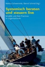 Systemisch Beraten Und Steuern Live