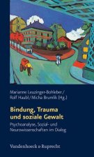 Bindung, Trauma Und Soziale Gewalt