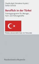 Beruflich in der Türkei