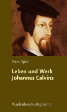 Leben Und Werk Johannes Calvins