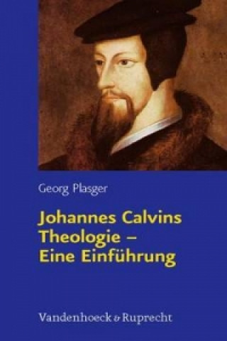 Johannes Calvins Theologie a Eine EinfA