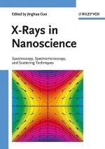 X-Rays in Nanoscience - Spectroscopy, Spectromicroscopy, and Scattering Techniques