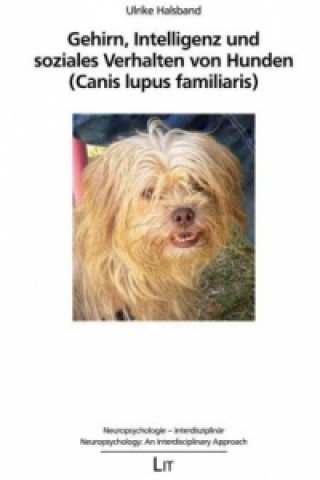 Gehirn, Intelligenz und soziales Verhalten von Hunden (Canis lupus familiaris)