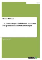 Zur Entstehung von kollektiven Emotionen bei sportlichen Grossveranstaltungen