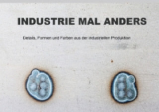 INDUSTRIE MAL ANDERS - Details, Formen und Farben aus der industriellen Produktion (Posterbuch DIN A3 quer)