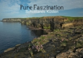 Pure Faszination - Schottlands Küsten (Tischaufsteller DIN A5 quer)