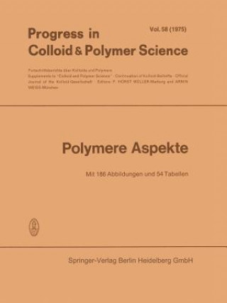 Polymere Aspekte