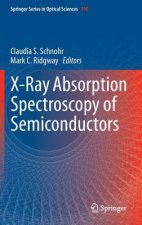 X-Ray Absorption Spectroscopy of Semiconductors