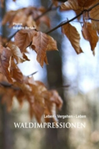 Waldimpressionen