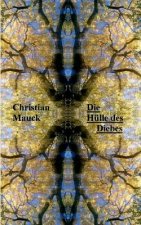 Hulle des Diebes