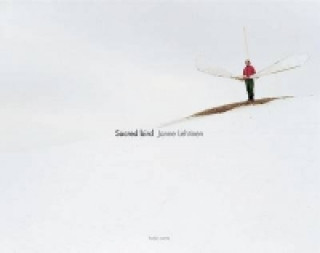 Janne Lehtinen: Scared Birds