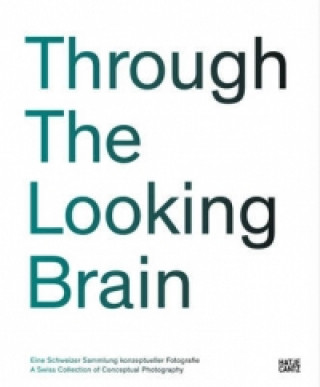 Through the Looking Brain