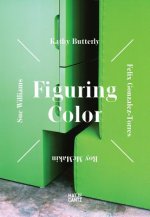 Figuring Color  Kathy Butterly, Felix Gonzalez-Torres, Roy McMakin, Sue Williams