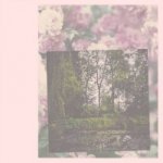 Darren Almond: The Giverny Polaroids