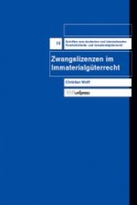 Schriften zum deutschen und internationalen PersAnlichkeits- und ImmaterialgA