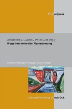 Wege Interkultureller Wahrnehmung