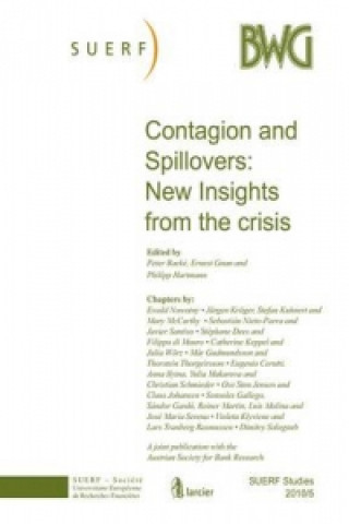 Contagion and Spillovers: New Insights from the Crisis