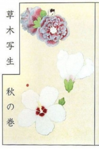 Japanese Botanist's 17th Century Sketchbook
