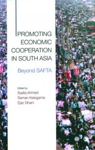 Promoting Economic Cooperation in South Asia